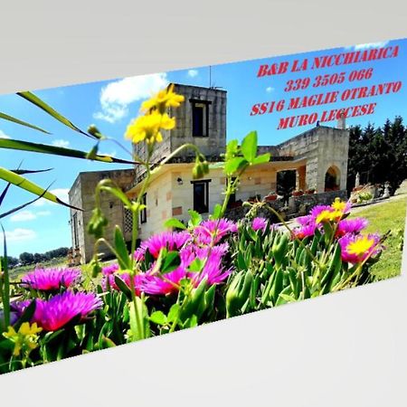 B&B La Nicchiarica 무로 레체세 외부 사진
